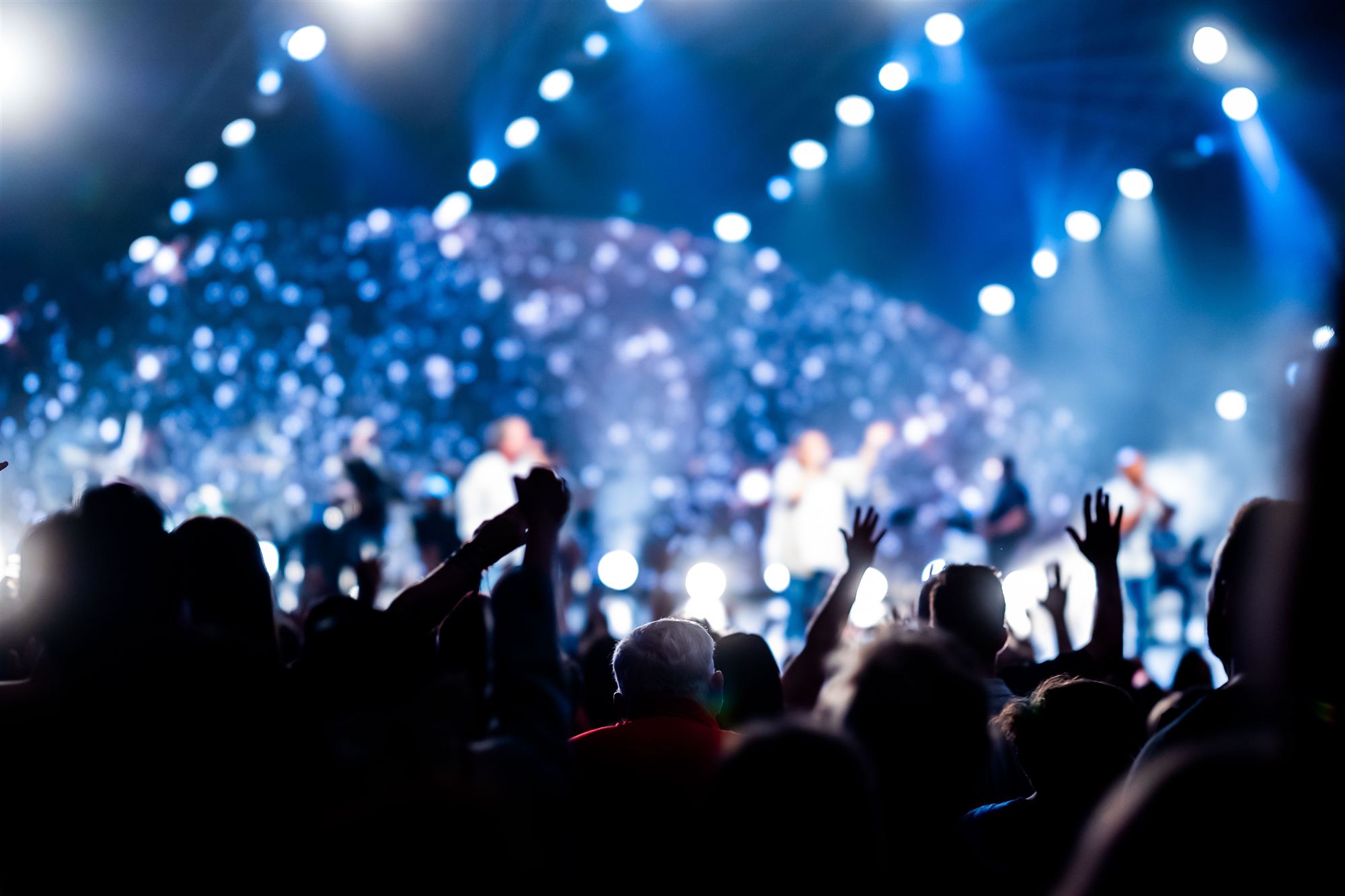 Audience at a large-scale corporate event